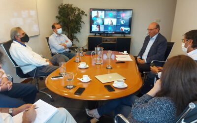 Empresas y capital relacional