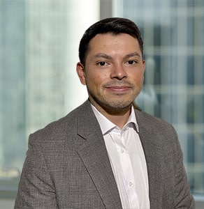 Felipe Palma CIS Consultores