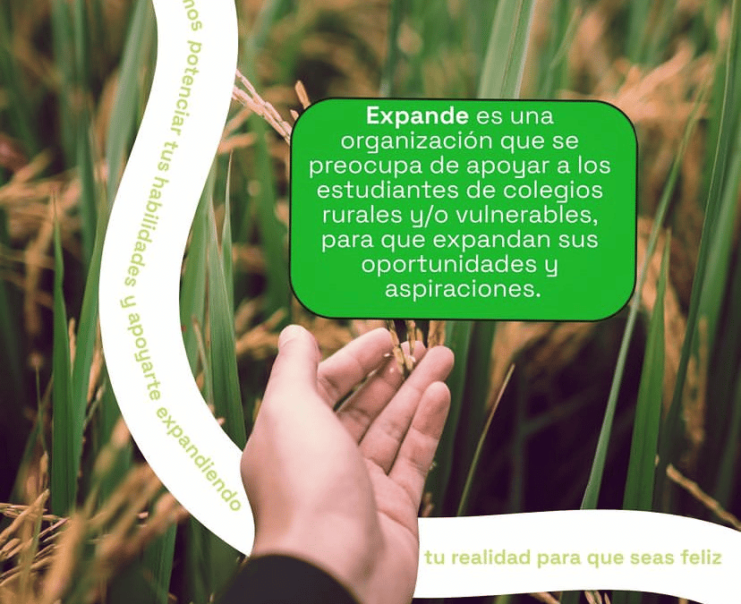 Serie “CIS y vocación probono”