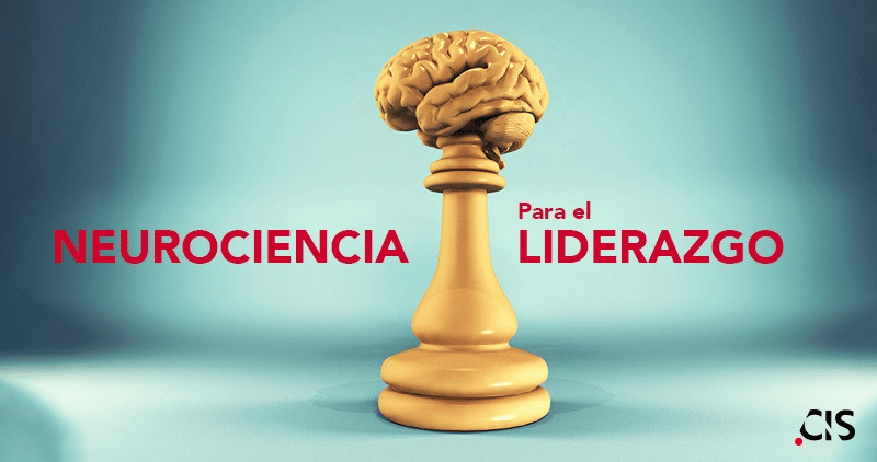 Liderando con el cerebro en mente