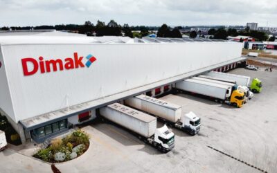 Exitosa consultoría en estrategia digital